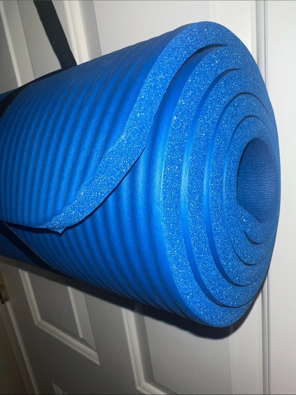 Amazon Basics durable blue